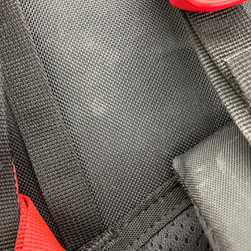 MILLET (ミレー) バックパック MIS0773 レッド SAAS FEE NX 50+