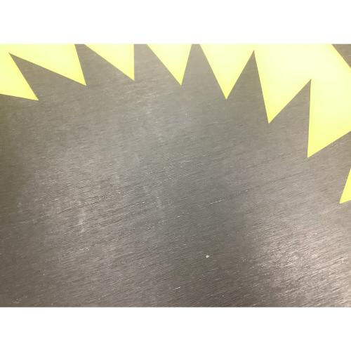 SALOMON (サロモン) スノーボード 150cm 23/24 キャンバー ASSASSIN