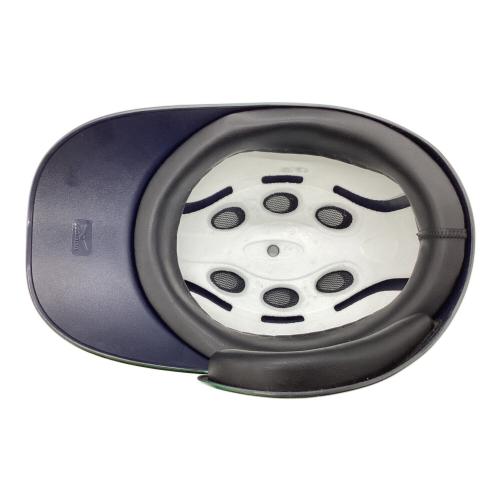 東北楽天ゴールデンイーグルス (トウホクラクテンゴールデンイーグルス) 応援グッズ グリーン @ ヘルメット EAGLES EARTH GREEN 2022