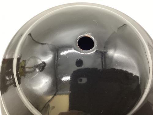 Coleman (コールマン) ガソリンランタン ROCK シーズンズランタン2008