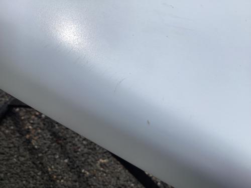 PLACEBO (プレセボ) ROUND NOSE ROUND ショートボード ホワイト 6'0”x21.50”x2.70” -39.00cl