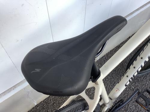 SPECIALIZED (スペシャライズド) クロスバイク sirrus x 4.0 ベージュ　