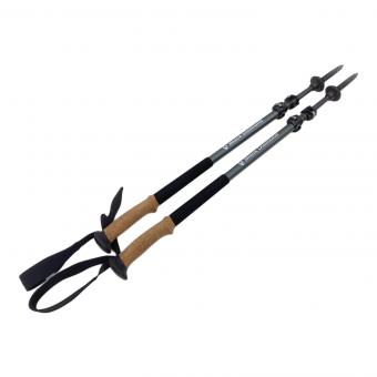 BLACK DIAMOND (ブラックダイヤモンド) トレッキングポール ALPINE CARBON I字コルクグリップ 2本セット 110-130cm グリーン