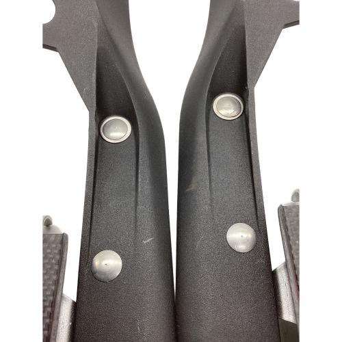 MSR (エムエスアール) スノーシュー ブラック×レッド EVO accublade