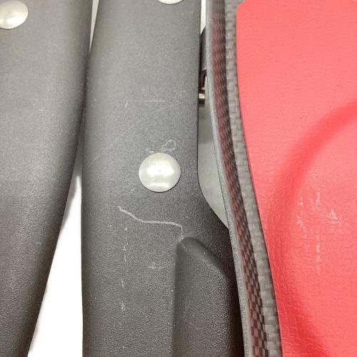 MSR (エムエスアール) スノーシュー ブラック×レッド EVO accublade