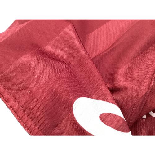 レッジーナ 2002-03 サッカーユニフォーム XS705G 【10】中村俊輔 SIZE M