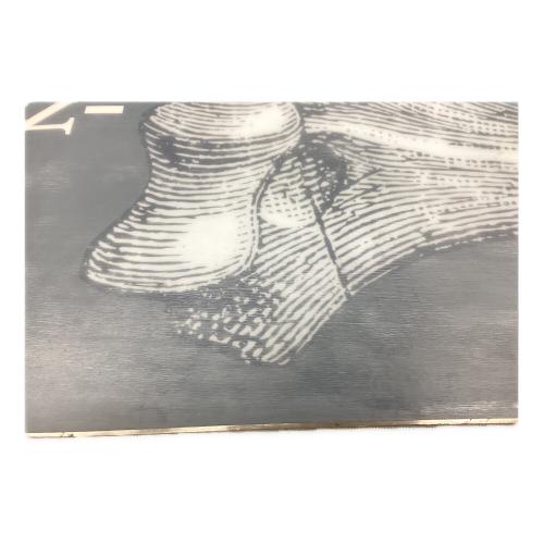 BURTON (バートン) スノーボード 154cm ANTLER CLIV　グレー　キャンバー　M6