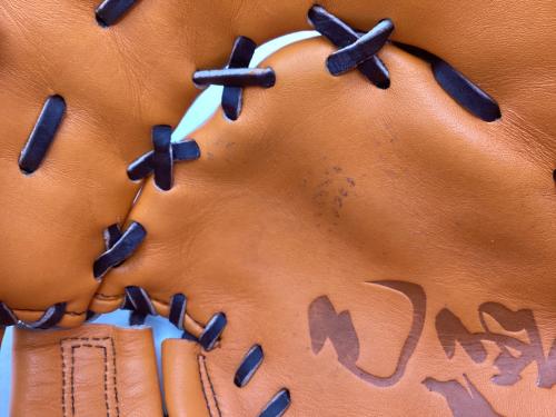 Hi Gold (ハイゴールド) 軟式グローブ OKG-310F オレンジ 己極