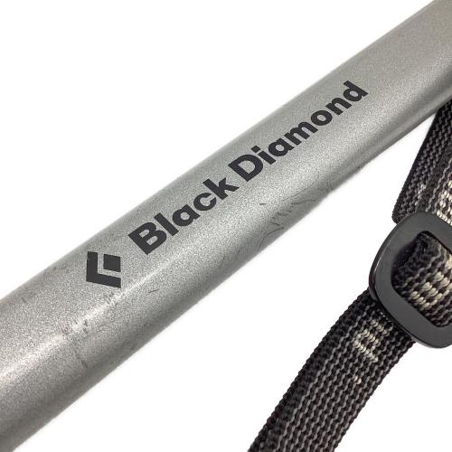 BLACK DIAMOND (ブラックダイヤモンド) ピッケル 65㎝ グレー RAVEN PRO