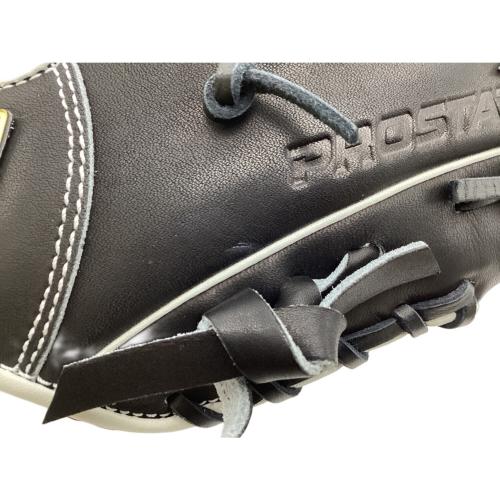 ZETT (ゼット) PROSTATUS グローブ 50245250 ケース付 BRGPRO25K