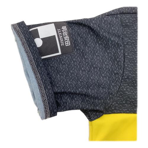 柏レイソル (カシワレイソル) 【9】細谷真大 サッカーユニフォーム