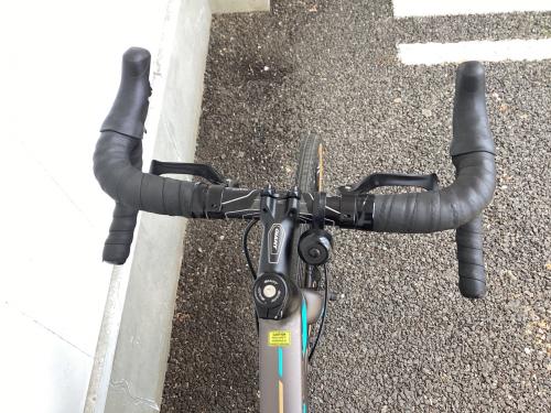 giant (ジャイアント) ロードバイク ANYROAD3 ボトルホルダー・ラックカスタム SIZE S グレー　クラリス