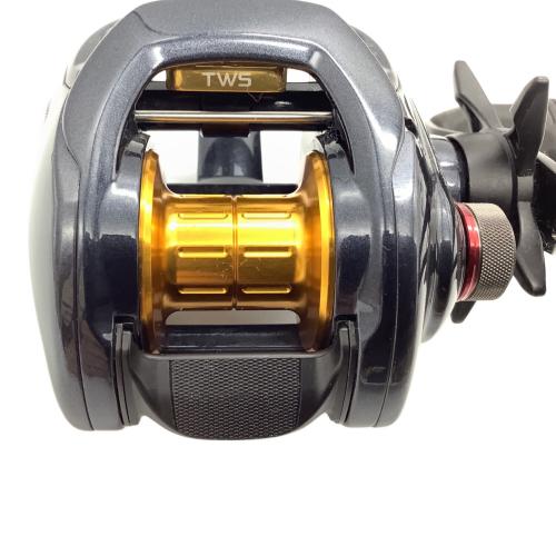 DAIWA (ダイワ) ベイトリール リール TATULA100 タトゥーラ100 TWS