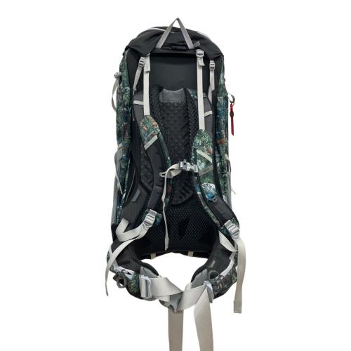 GREGORY (グレゴリー) バックパック パラゴン ブラック×グリーン PARAGON 48