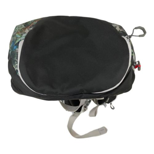 GREGORY (グレゴリー) バックパック パラゴン ブラック×グリーン PARAGON 48