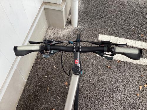 TREK (トレック) クロスバイク FX Sport 4 グレー