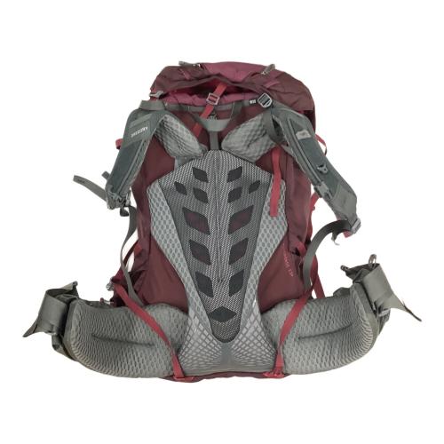GREGORY (グレゴリー) バックパック SIZE : W XS ワインレッド DEVA60