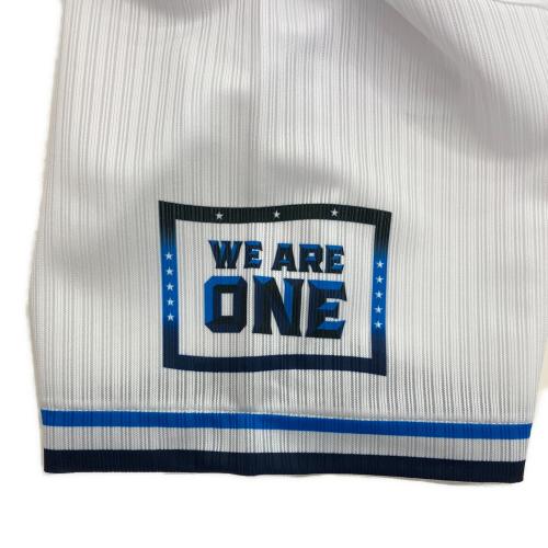 埼玉西武ライオンズ (サイタマセイブライオンズ) プロコレ 応援グッズ 2024 SIZE M ホワイト×ネイビー