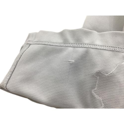 埼玉西武ライオンズ (サイタマセイブライオンズ) 応援グッズ 2009年シーズン 選手実使用 SIZE グレー　【29】三井浩二