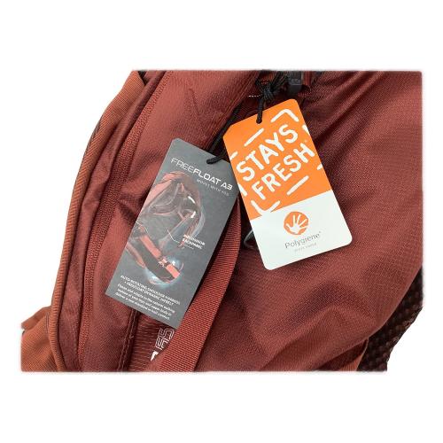 GREGORY (グレゴリー) バックパック 65L レッド BALTORO