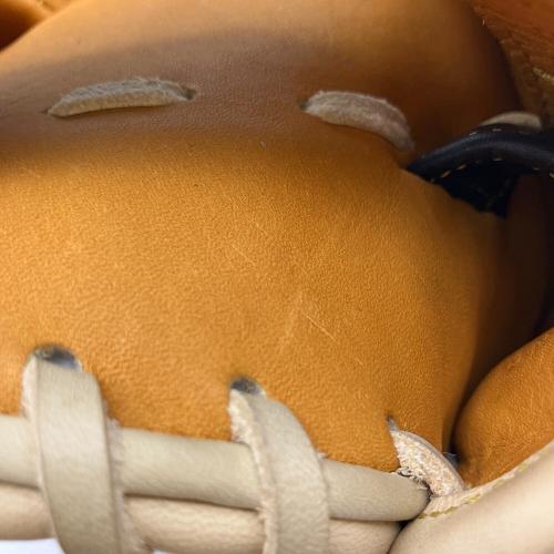 SSK (エスエスケー) プロエッジオーダー 硬式グローブ 29cm ブルー