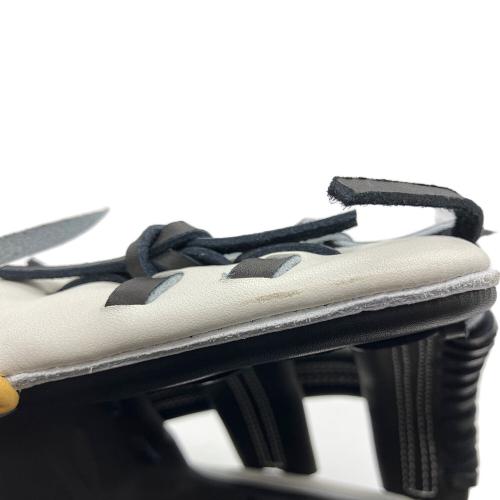 MIZUNO (ミズノ) ミズノプロ 硬式グローブ 波賀ジャパン製 ケース付 ホワイト×ブラック