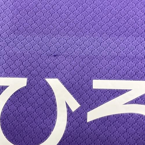 サンフレッチェ広島 (サンフレッチェヒロシマ) サッカーユニフォーム HJ1336 2025ホームレプリカ メンズ SIZE XL パープル