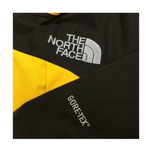 THE NORTH FACE トレッキングウェア イエロー 2017秋冬 GORE-TEX