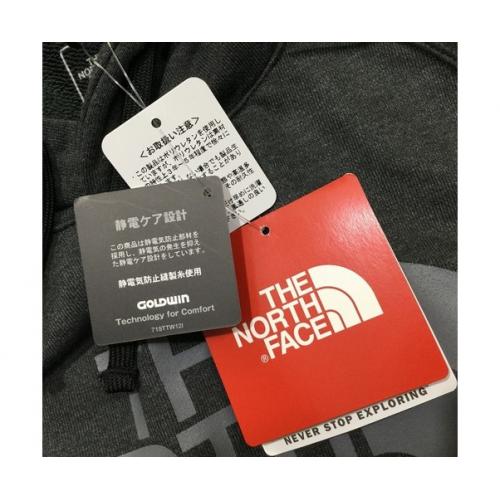 THE NORTH FACE パーカー グレー カラーヘザードスウェットフーディ NT61795