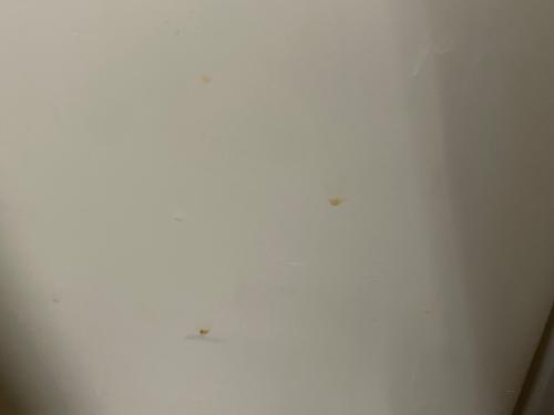 FIELDOOR (フィールドア) ノーザンクーラーボックス クーラーボックス 35QT(33.1L) ベージュ