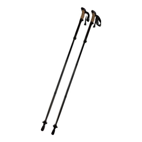LekiSport (レキスポーツ) トレッキングポール ブラック ブラックシリーズカーボン