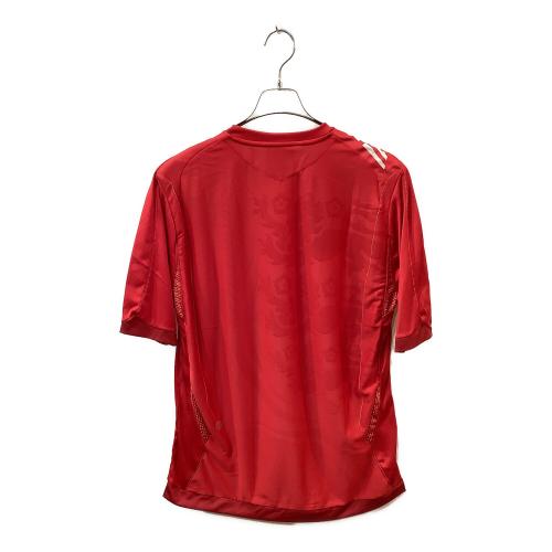 イングランド代表 (イングランドダイヒョウ) サッカー