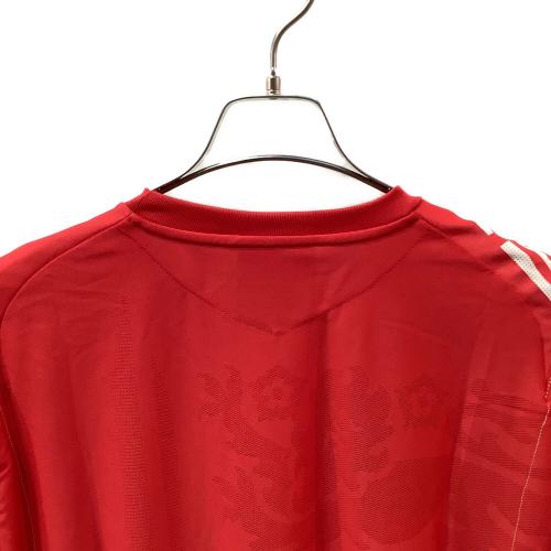 イングランド代表 (イングランドダイヒョウ) サッカーユニフォーム メンズ SIZE XL レッド 2006シーズン アウェイ UDS6610A
