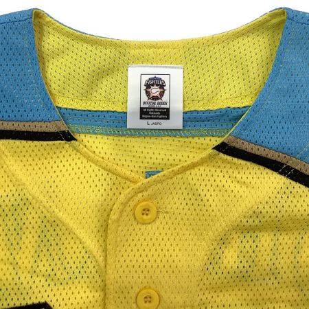 北海道日本ハムファイターズ (ホッカイドウニッポンハムファイターズ