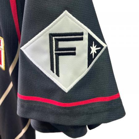 北海道日本ハムファイターズ (ホッカイドウニッポンハムファイターズ