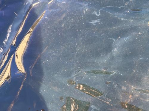 KZM OUTDOOR (カズミアウトドア) シェルター ブラック ビバドームシェルタープライム 約360×360×195cm 2-4人用