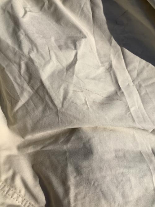 OGAWA (オガワ) モノポールテント グロッケ12 TC