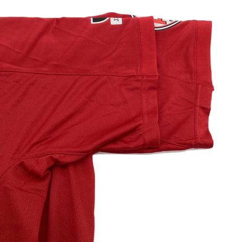 浦和レッズ (ウラワレッズ) 2009シーズン ホーム サッカーユニフォーム 355827 【19】高原 直泰 メンズ SIZE XL レッド