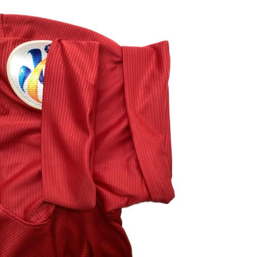 浦和レッズ (ウラワレッズ) 2013シーズン ホーム サッカーユニフォーム 517529-655 【10】マルシオ リシャルデス メンズ SIZE L レッド