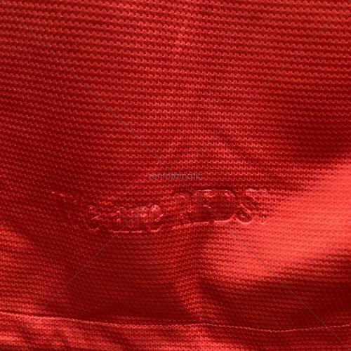 浦和レッズ (ウラワレッズ) 2013シーズン ホーム サッカーユニフォーム 517529-655 【10】マルシオ リシャルデス メンズ SIZE L レッド