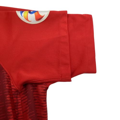 浦和レッズ (ウラワレッズ) 2019シーズン ホーム サッカーユニフォーム AQ4445-611 【14】杉本 健勇 メンズ SIZE L レッド