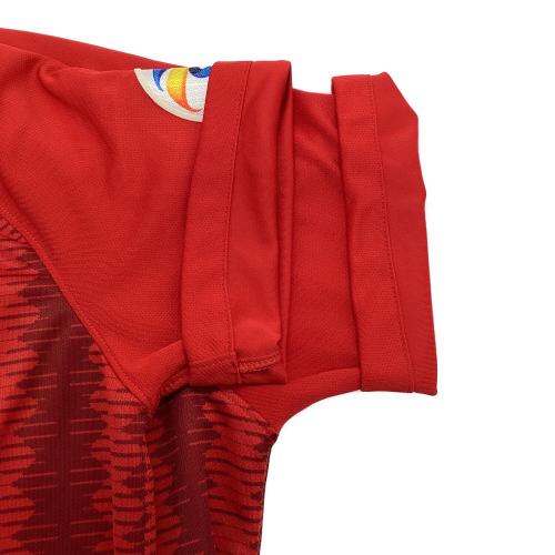浦和レッズ (ウラワレッズ) 2019シーズン ホーム サッカーユニフォーム AQ4445-611 【14】杉本 健勇 メンズ SIZE L レッド