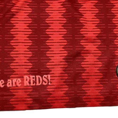 浦和レッズ サッカーユニフォーム メンズ SIZE L レッド 【10】柏木 陽介 2019シーズン ホーム オーセンティック AO8480-611