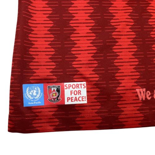 浦和レッズ サッカーユニフォーム メンズ SIZE L レッド 【10】柏木 陽介 2019シーズン ホーム オーセンティック AO8480-611