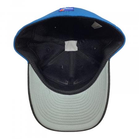 北海道日本ハムファイターズ (ホッカイドウニッポンハムファイターズ