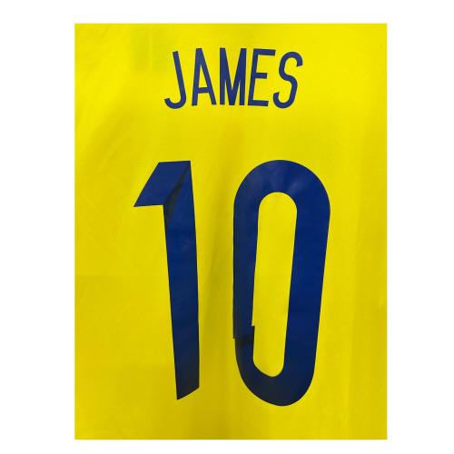 コロンビア代表 (コロンビアダイヒョウ) サッカーユニフォーム メンズ SIZE O イエロー 【10】ハメス・ロドリゲス 2015シーズン ホーム M62788