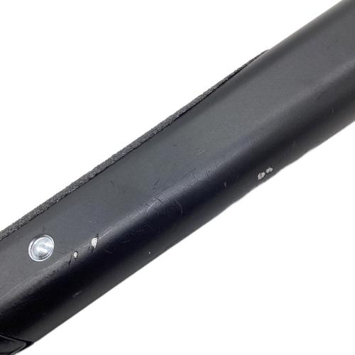 CAMP (カンプ) ピッケル 57cm ALPINA