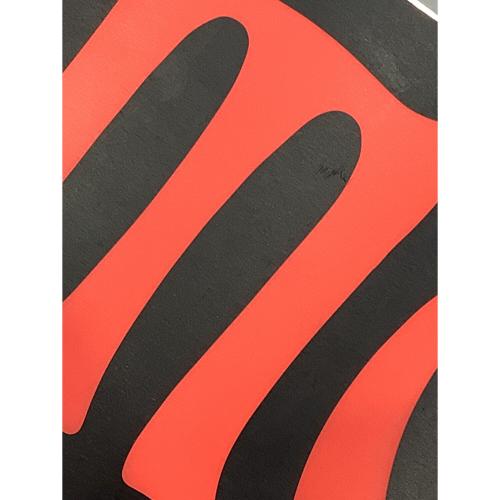 SALOMON (サロモン) ASSASSIN スノーボード 162cm 20-21モデル