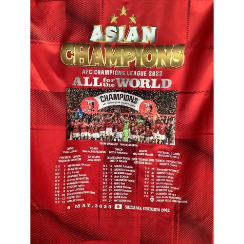 浦和レッズ (ウラワレッズ) 2022シーズン・ホーム・ACL優勝記念ユニフォーム サッカーユニフォーム レッド SIZE L