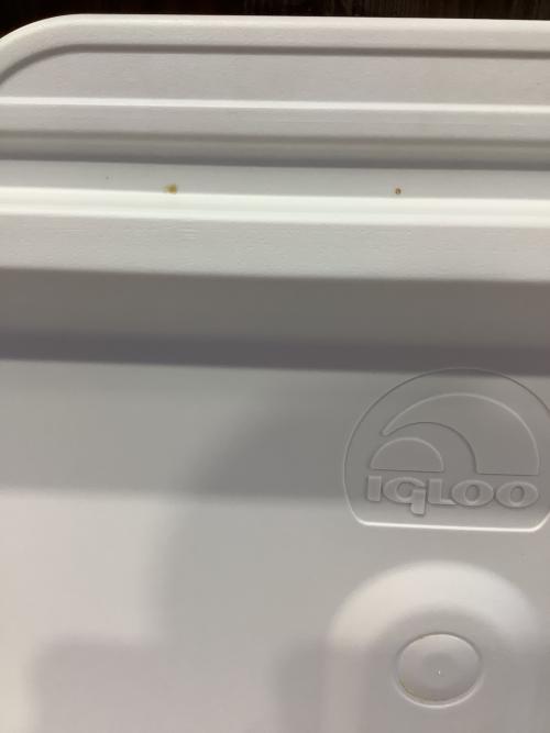 iGloo (イグルー) GLIDE ROLLER 104L クーラーボックス ホワイト